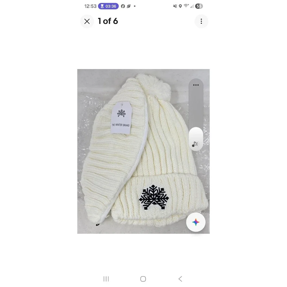 NWT The‎ Winter Brand Signature Beanie & Mask in White New W Tags